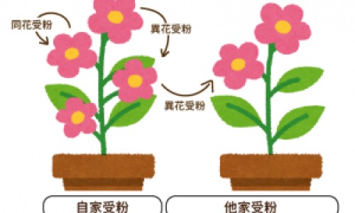 肝是阳性的是什么症状表现-肝是阳性的是什么症状-专业肝呈阳性是不是问题很严重平台-肝是阳性好还是阴性好