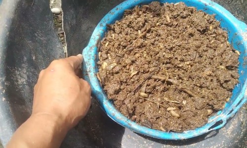 肝呈阳性是不是问题很严重-肝是阳性的是什么症状-专业肝呈阳性是不是问题很严重平台-肝是阳性好还是阴性好
